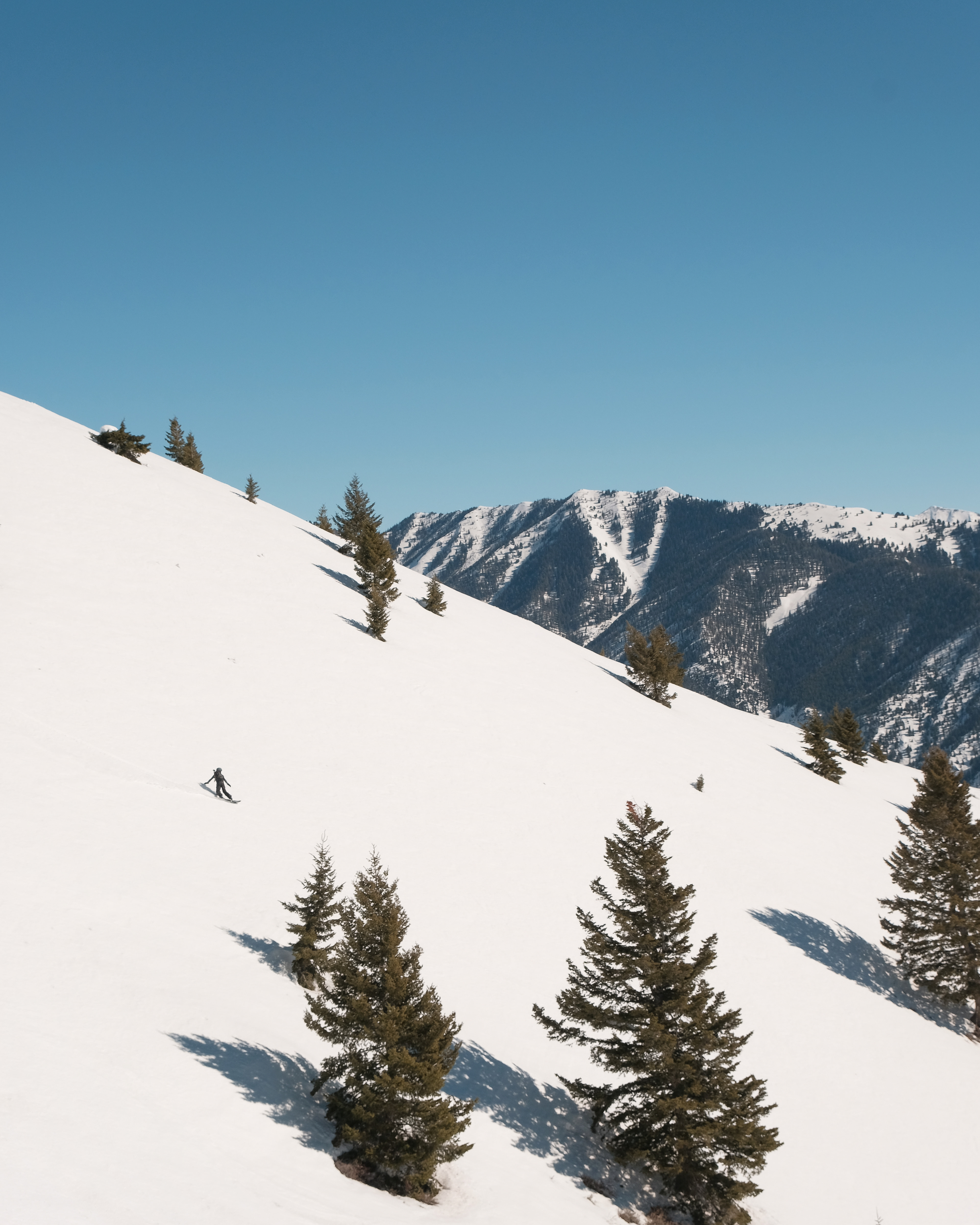 Sun Valley Backcountry